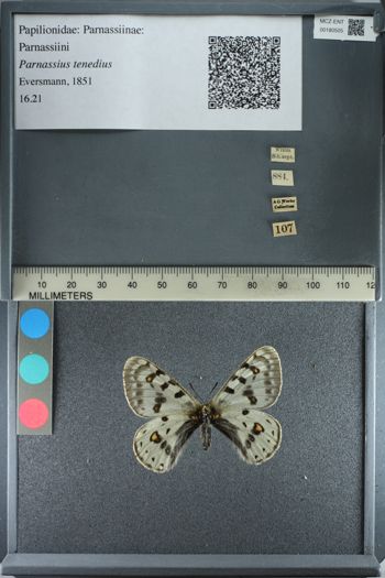 Media type: image;   Entomology 180505